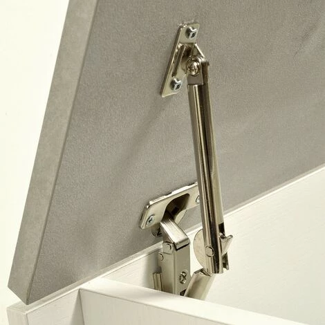 TERRANEO Banc-conteneur Coffre Pour L'entrée Le Salon La Chambre 7 TERRANEO Banc-conteneur Coffre Pour L'entrée Le Salon La Chambre – Image 5