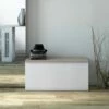 TERRANEO Banc Coffre Pour Le Salon Conteneur De Stockage Entrée Chambre -Rangement de jardin Soldes 54910842 1