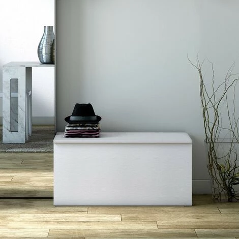 TERRANEO Banc De Rangement Conteneur Coffre Pour L'entrée Ou La Chambre 3 TERRANEO Banc De Rangement Conteneur Coffre Pour L'entrée Ou La Chambre